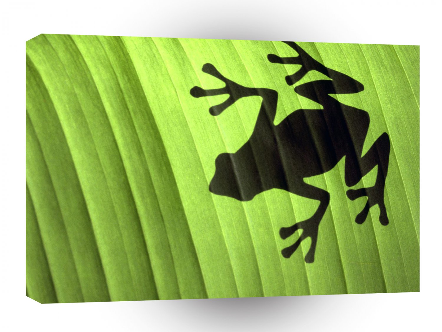 Frog Green Shadow A1 Xlarge Canvas
