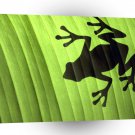 Frog Green Shadow A1 Xlarge Canvas
