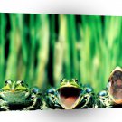 Frog Three Tenors A1 Xlarge Canvas