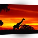 Giraffe A Journey At Dusk A1 Xlarge Canvas