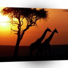 Giraffe Long Walk Goodnight A1 Xlarge Canvas