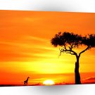 Giraffe Running East Africa A1 Xlarge Canvas