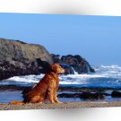 Golden Retriever Be Very Patient A1 Xlarge Canvas