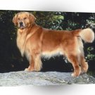 Golden Retriever Best In Show Champion A1 Xlarge Canvas