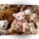 Hamster Hide And Seek A1 Xlarge Canvas