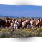 Horse Herd Of A1 Xlarge Canvas