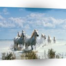 Horse Mystical Journey A1 Xlarge Canvas