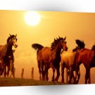 Horse Scorching Ride A1 Xlarge Canvas
