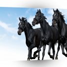 Horses Black Gallop A1 Xlarge Canvas