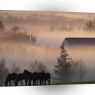 Horses Foggy Farm A1 Xlarge Canvas