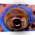 Insect 70s Eye Shadow Hawaii A1 Xlarge Canvas