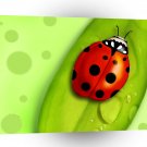 Insect Lady Bird Green Abstract A1 Xlarge Canvas