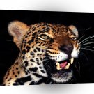 Jaguar Glare A1 Xlarge Canvas