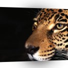 Jaguar Night Stalker A1 Xlarge Canvas