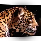 Jaguar South America A1 Xlarge Canvas