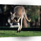 Kangaroo Hop To It Red A1 Xlarge Canvas