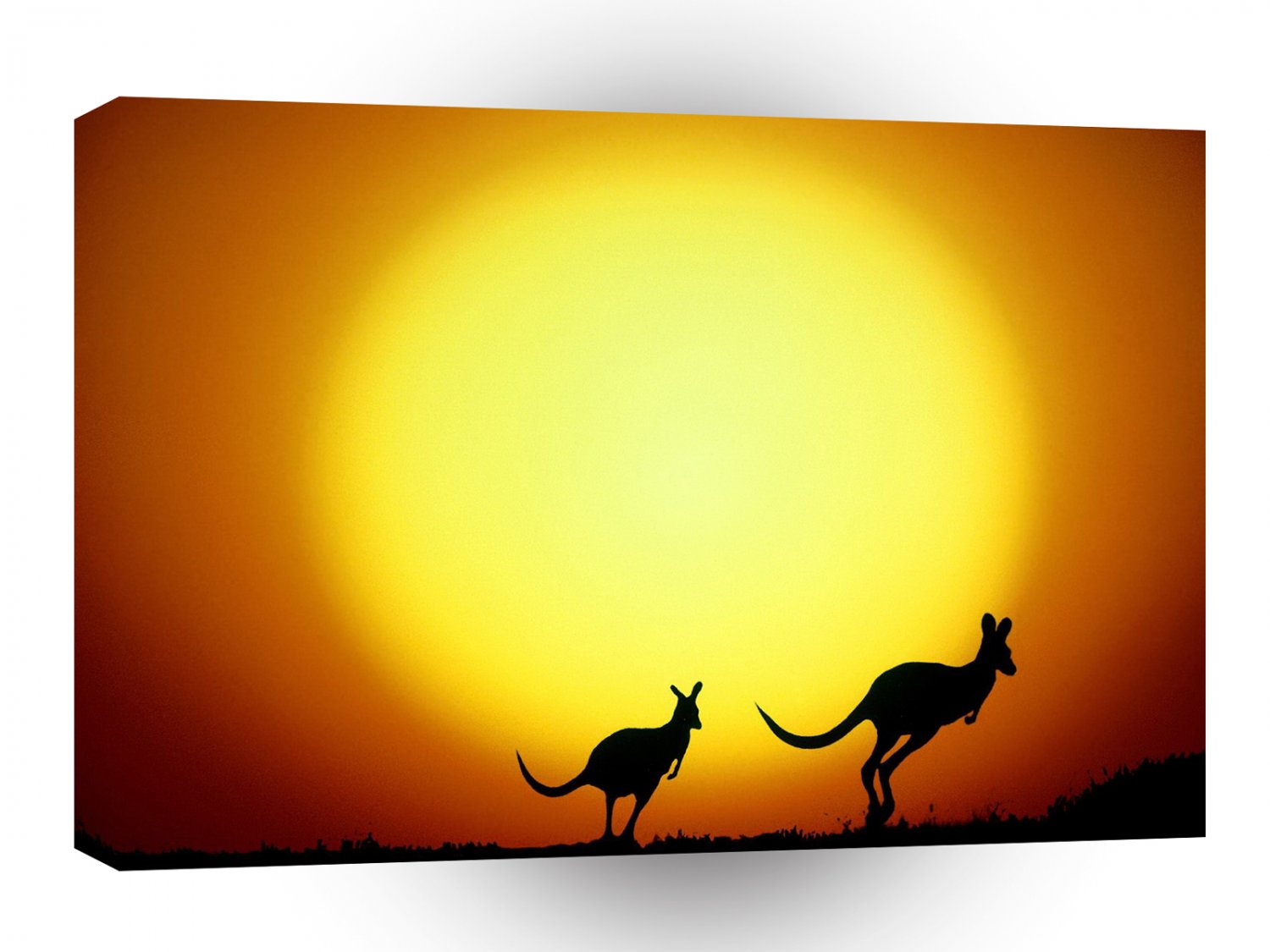 Kangaroo Sunset Bounce A1 Xlarge Canvas