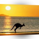 Kangaroo Taking Joey Home A1 Xlarge Canvas
