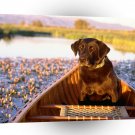 Labrador Canine Canoe A1 Xlarge Canvas