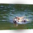 Labrador Day At The Races A1 Xlarge Canvas