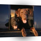 Labrador Friends Journey A1 Xlarge Canvas