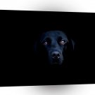 Labrador In The Dark A1 Xlarge Canvas