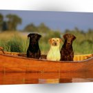 Labrador Rolling On A River A1 Xlarge Canvas