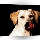 Labrador Tounges Up A1 Xlarge Canvas