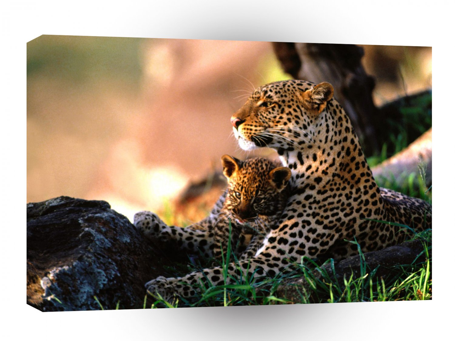 Leopard African Babysitting A1 Xlarge Canvas