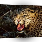 Leopard Snarl Spotted A1 Xlarge Canvas