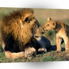 Lion Family Kisses A1 Xlarge Canvas