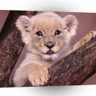 Lions Cubbie A1 Xlarge Canvas