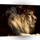 Lions King A1 Xlarge Canvas