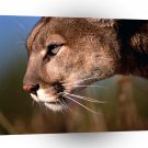 Lions Mountain Flathead Montana A1 Xlarge Canvas