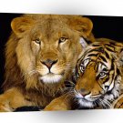 Lions Royal Portrait A1 Xlarge Canvas