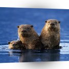 Otter Sea Family Dip A1 Xlarge Canvas