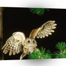 Owl Screech Pennsylvania A1 Xlarge Canvas