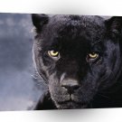 Panther Gazing Dark Mood A1 Xlarge Canvas