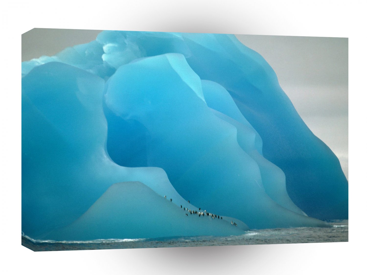 Penguin A Cold Perch A1 Xlarge Canvas