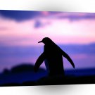 Penguin Antarctic Twilight King A1 Xlarge Canvas
