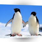 Penguin Companions Adelie A1 Xlarge Canvas