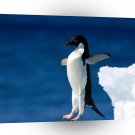Penguin Leap Of Faith Adelie A1 Xlarge Canvas