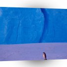 Penguin Solitude Emperor Antarctica A1 Xlarge Canvas