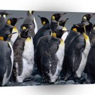 Penguin Traffic King A1 Xlarge Canvas