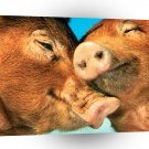 Pig All You Need Is Love A1 Xlarge Canvas