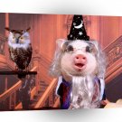 Pig Hogwarts A1 Xlarge Canvas