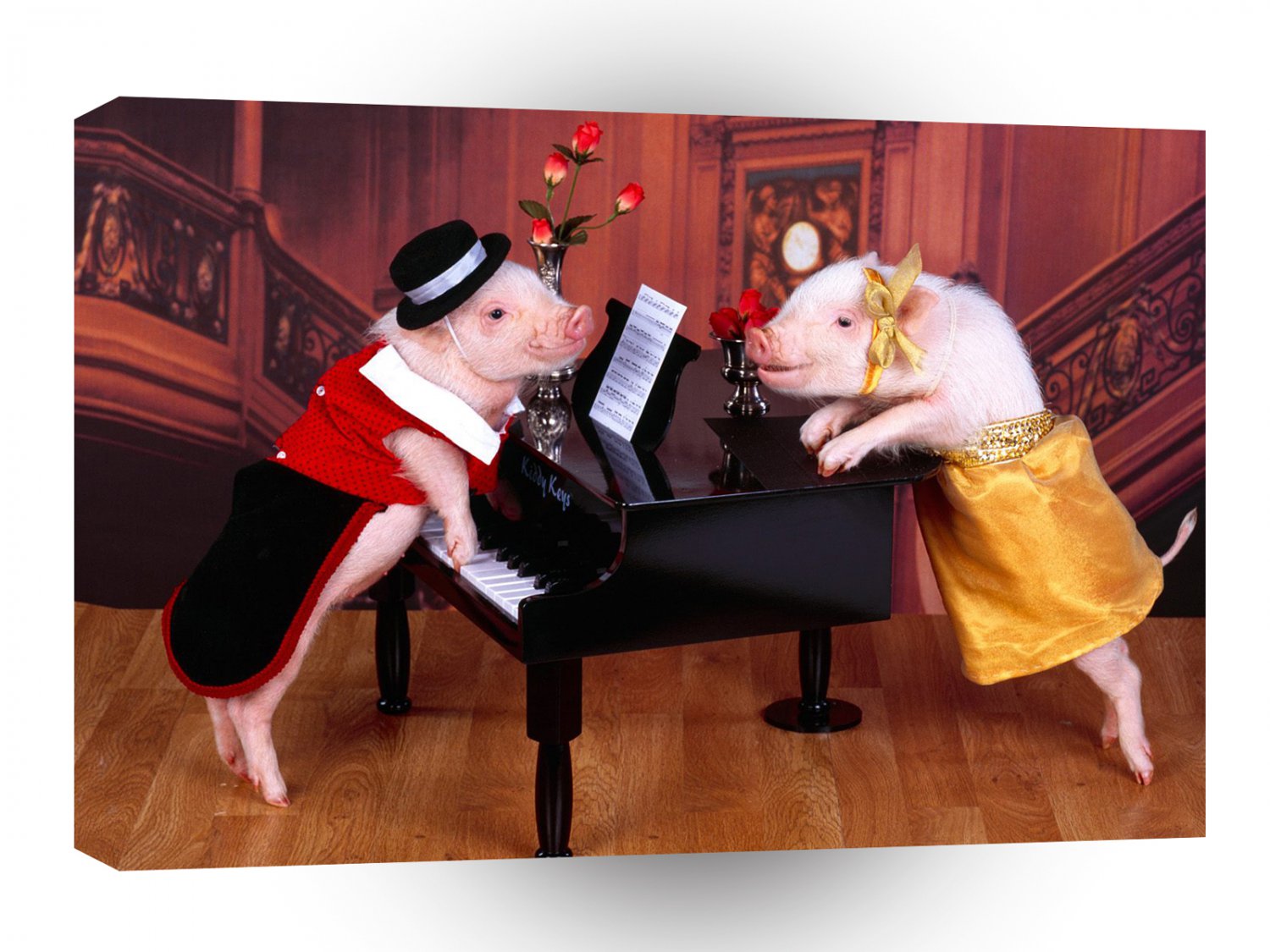 Pig Play It Again Ham A1 Xlarge Canvas