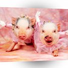 Pig Swine Lake A1 Xlarge Canvas