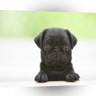 Puppie Gimme Some Please A1 Xlarge Canvas