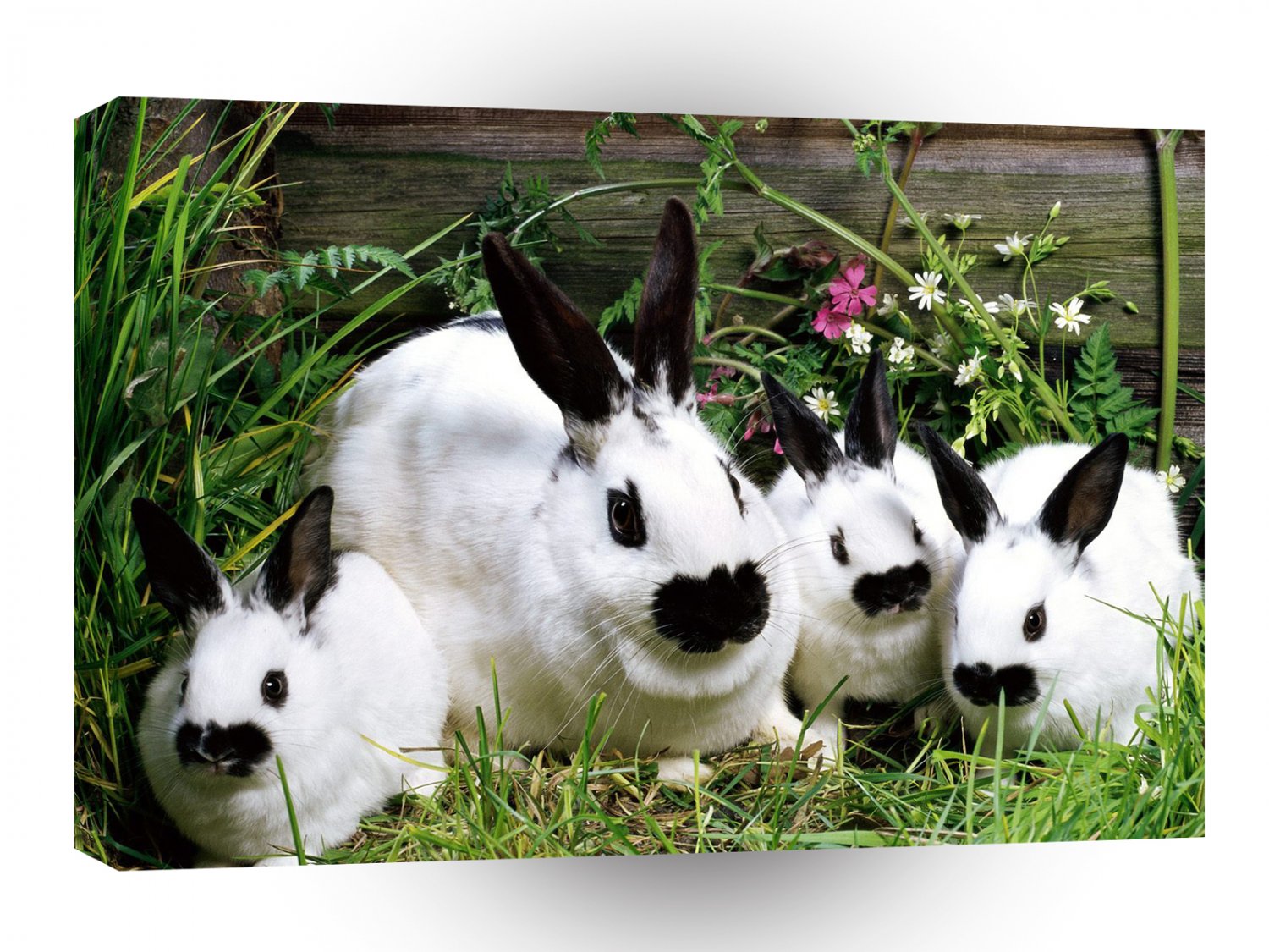 Rabbit Bunch O Bunnies A1 Xlarge Canvas